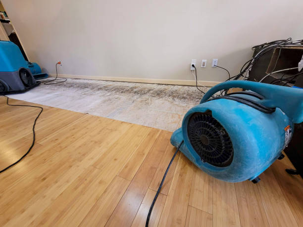 Professional Water Extraction technician working in Augusta, MI